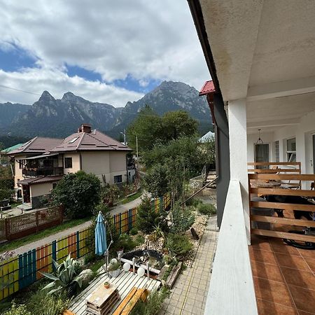 Hotel Casa David Buşteni Esterno foto