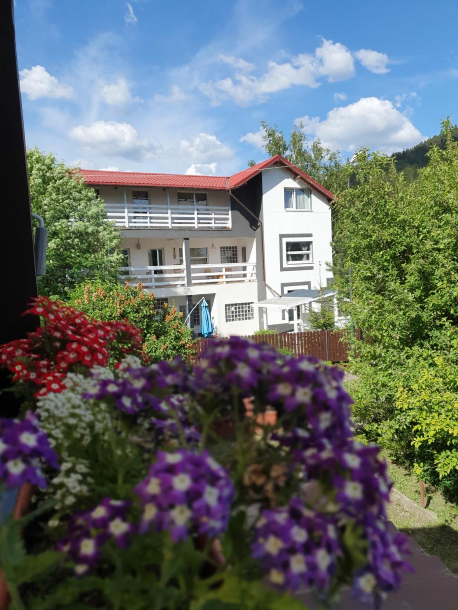 Hotel Casa David Buşteni Esterno foto