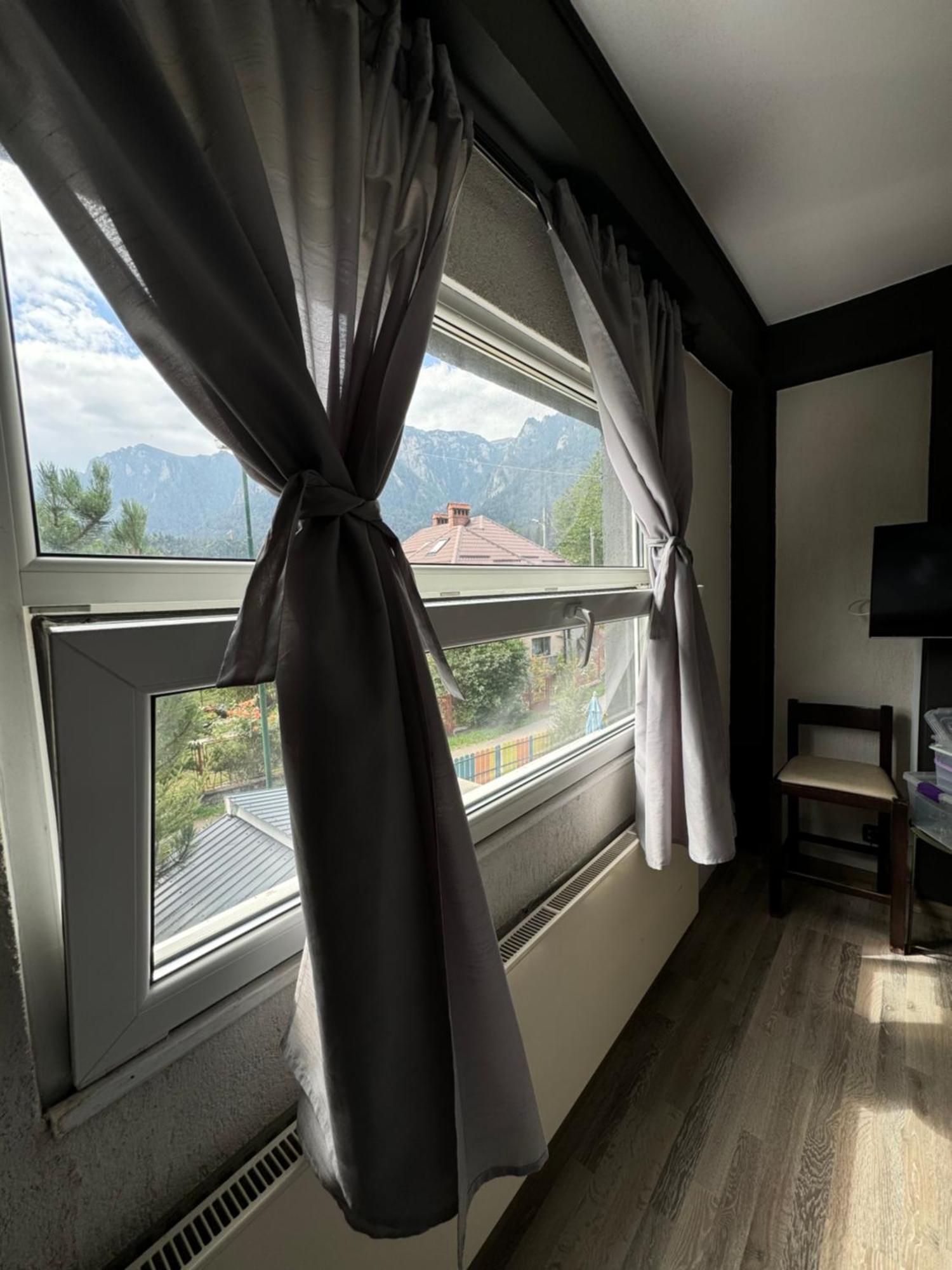 Hotel Casa David Buşteni Esterno foto