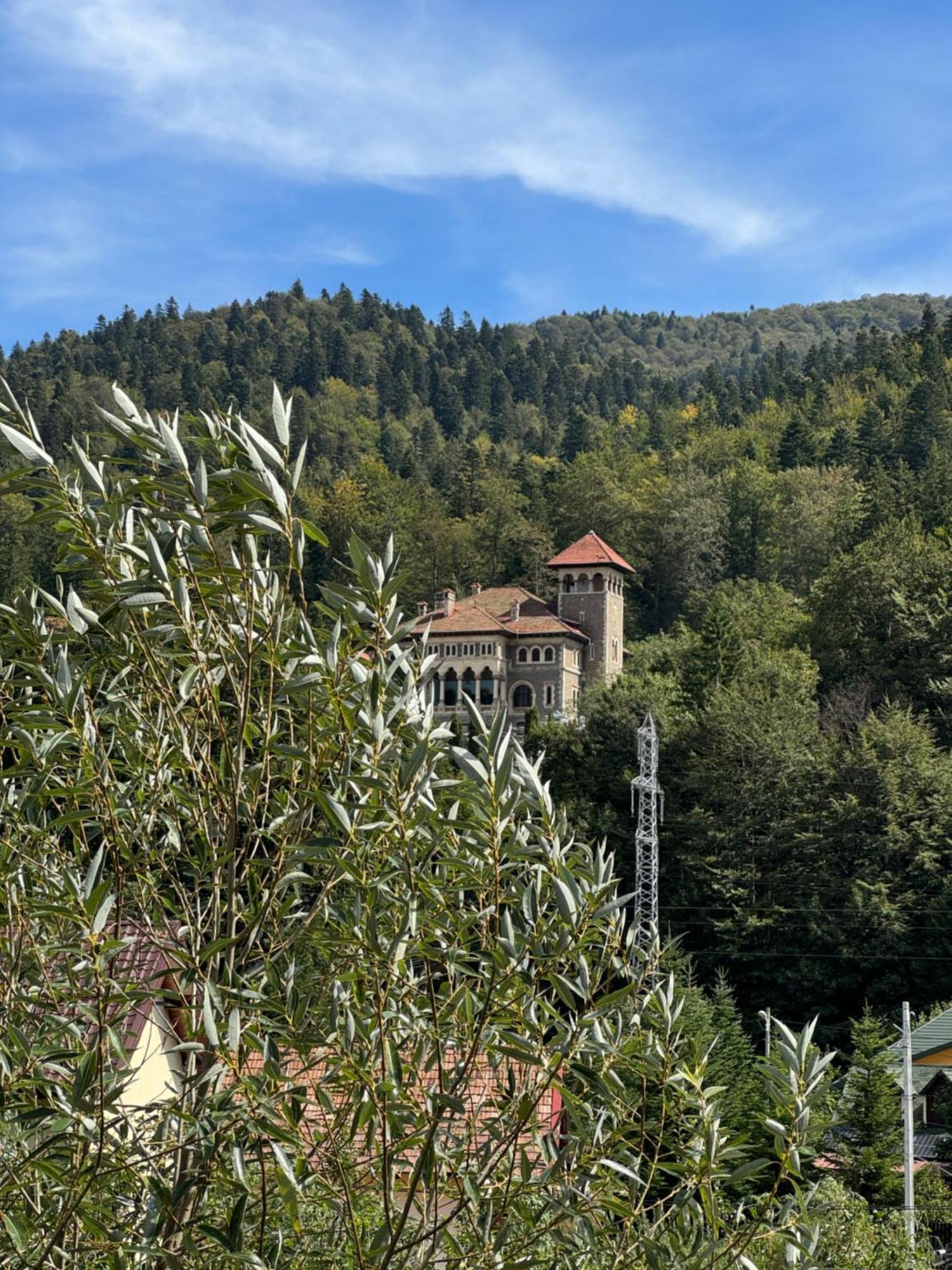 Hotel Casa David Buşteni Esterno foto