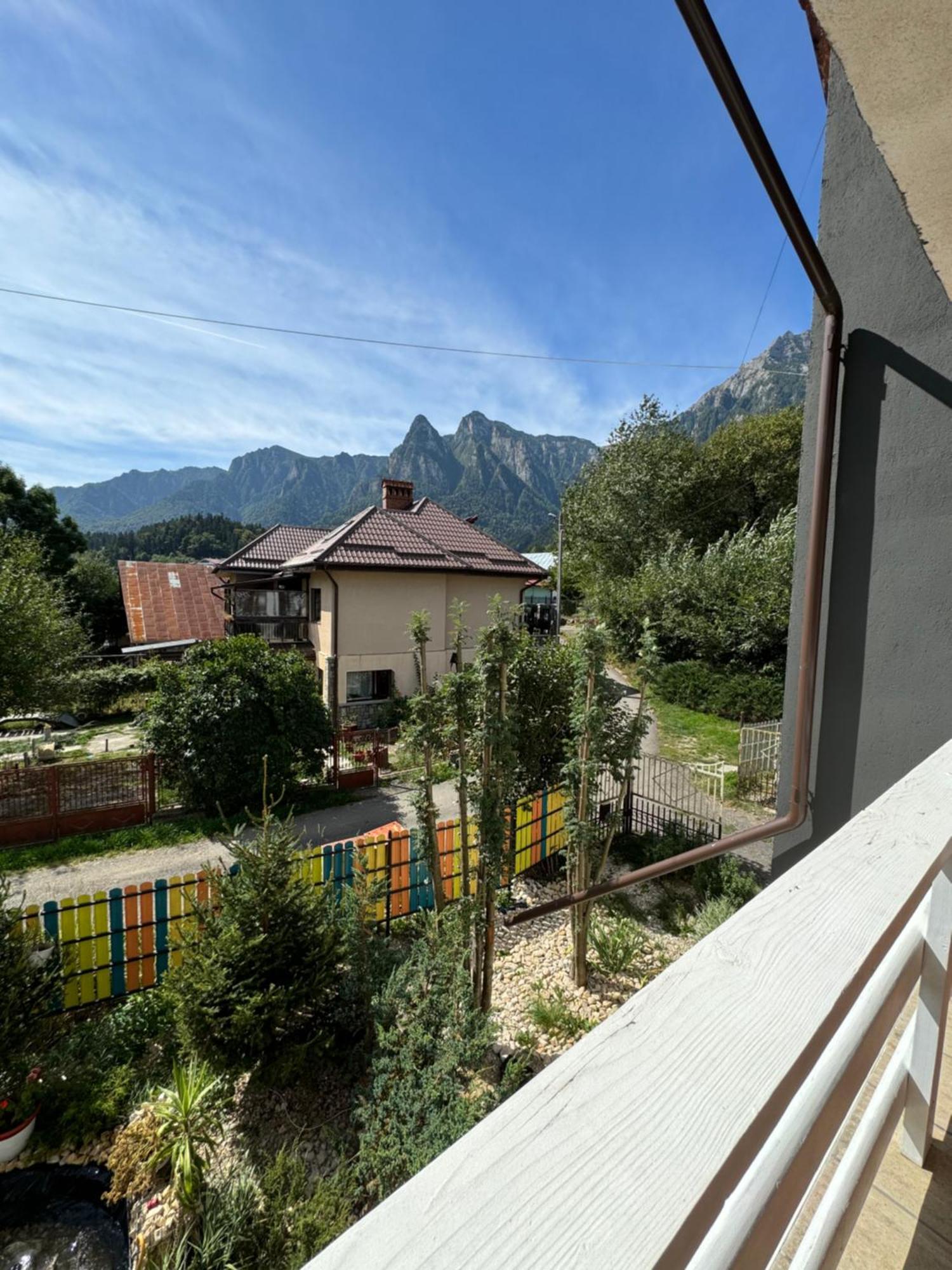 Hotel Casa David Buşteni Esterno foto