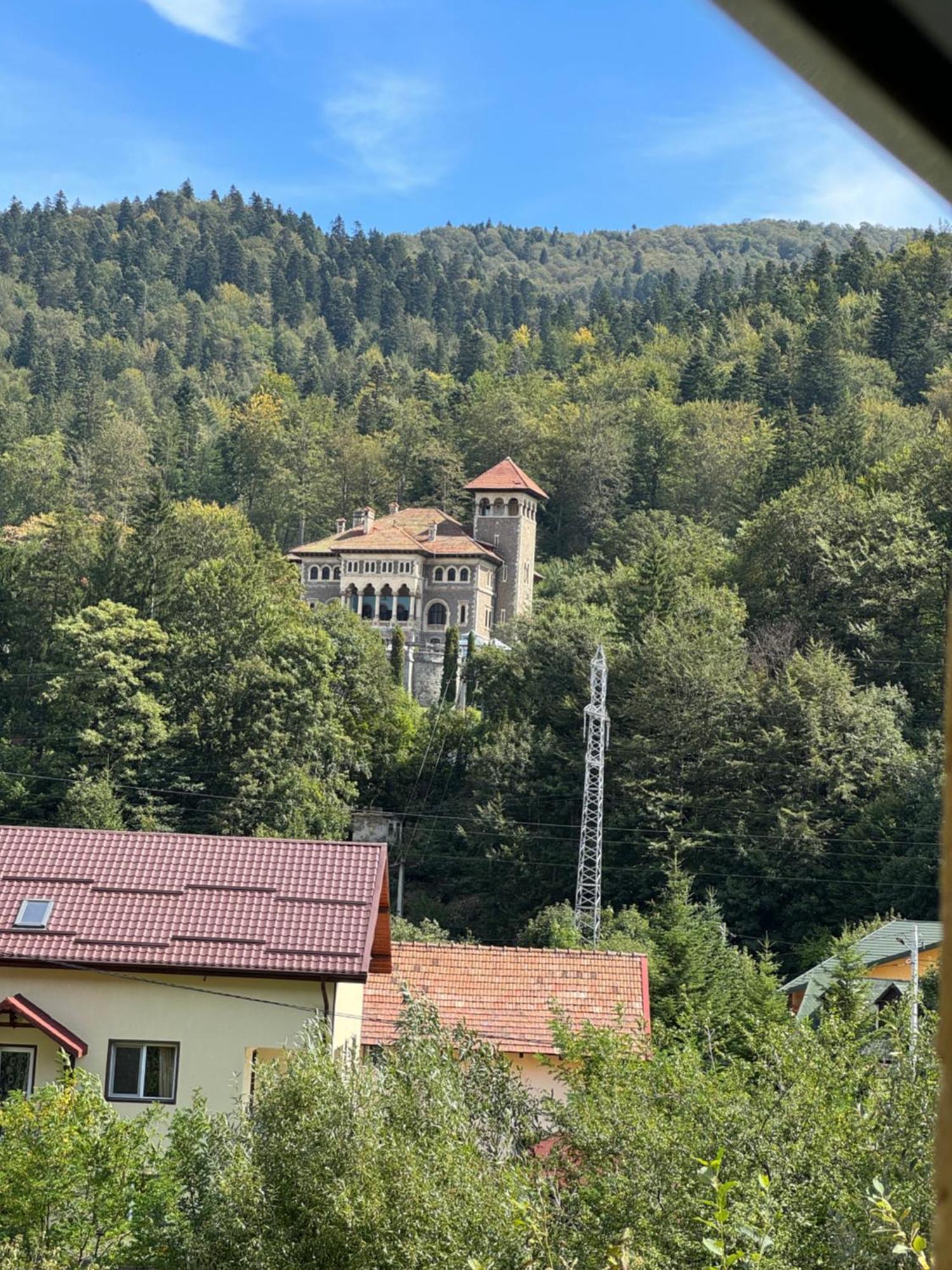 Hotel Casa David Buşteni Esterno foto