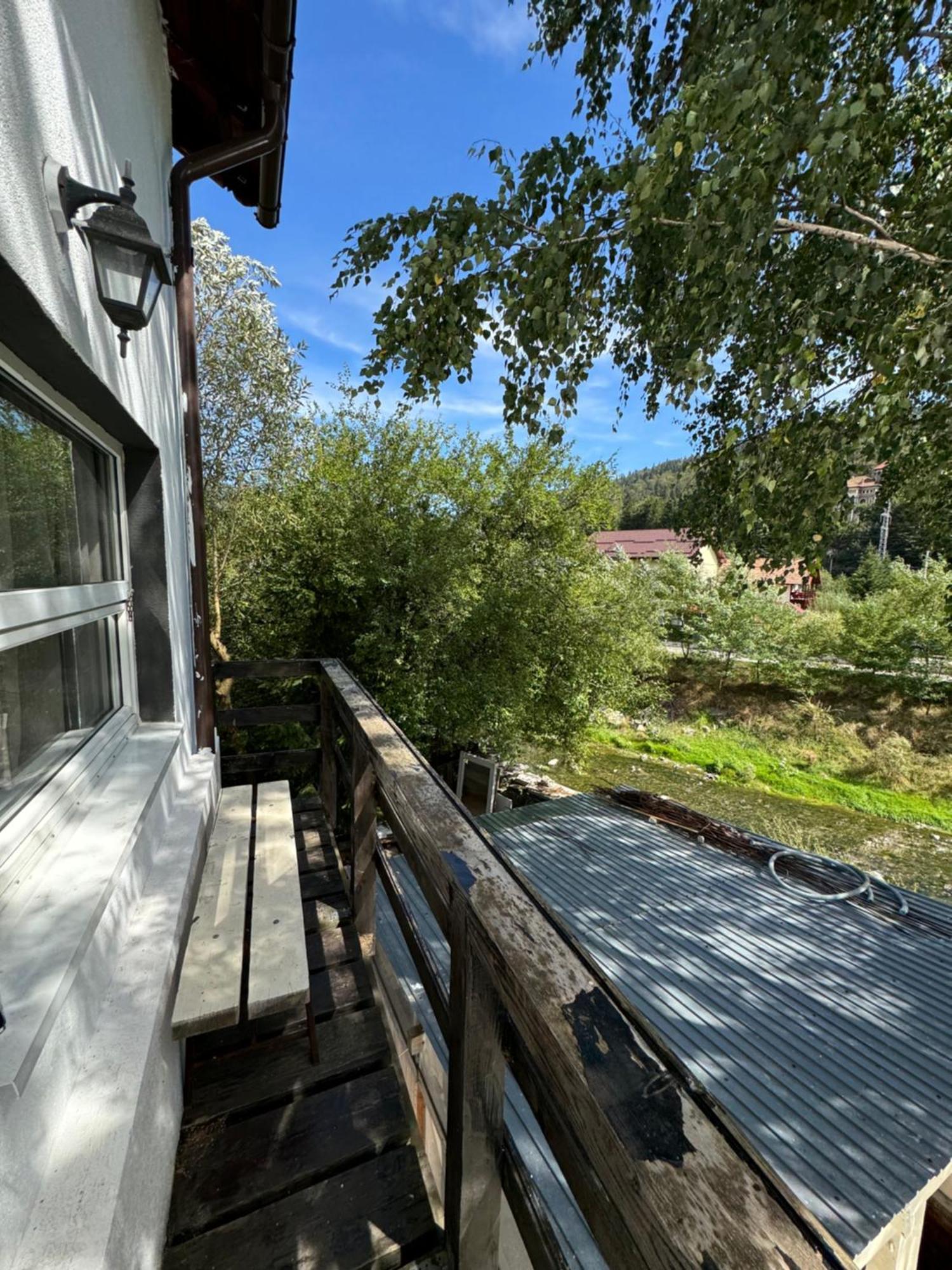 Hotel Casa David Buşteni Esterno foto