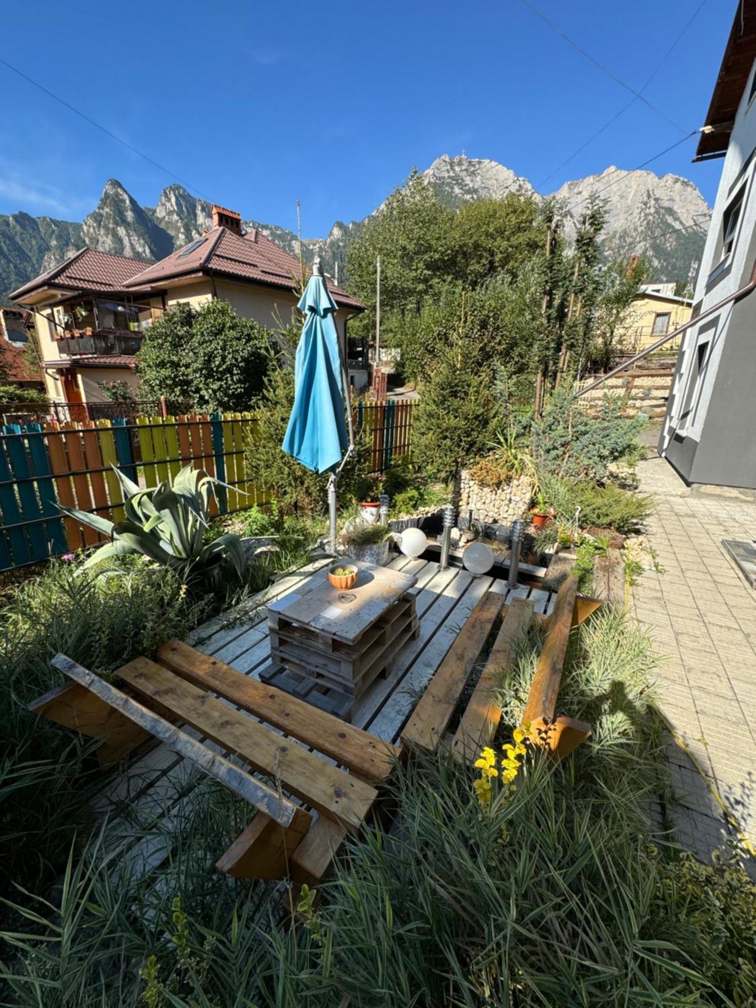 Hotel Casa David Buşteni Esterno foto